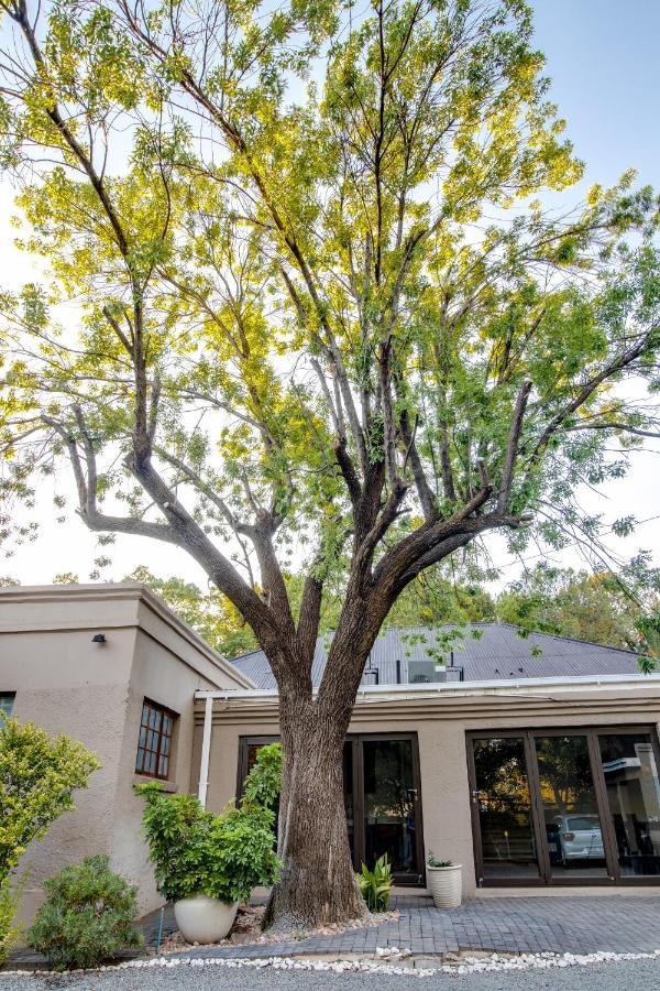 The Nightingale Guesthouse Bloemfontein Extérieur photo